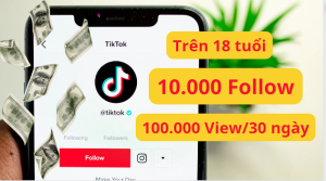Khi nào được bật kiếm tiền trên TikTok?