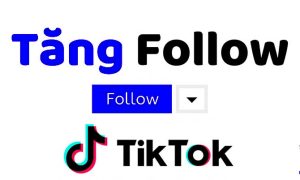 Top 10 Web tăng Follow Tik Tok miễn phí